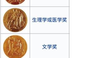 诺贝尔奖都有几个奖项